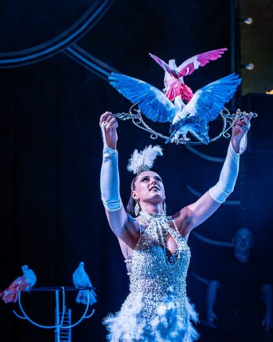 Zirkusperformerin in glitzerndem Outfit mit farbigen Vögeln bei ihrer Darbietung.